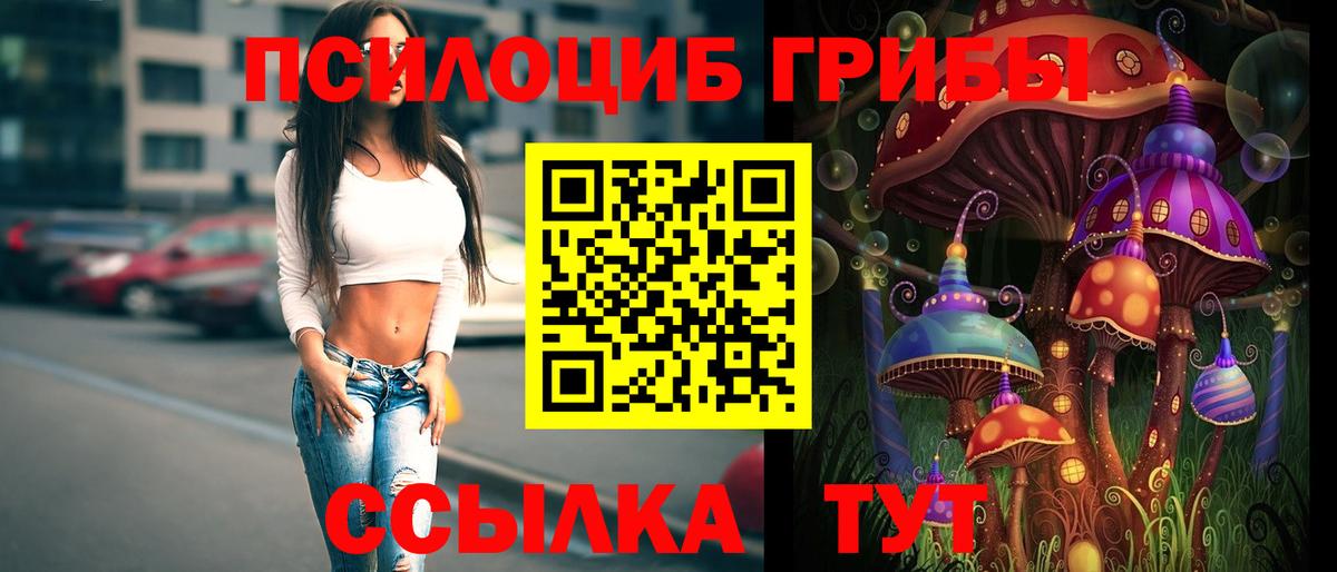 Псилоцибиновые грибы Psilocybine cubensis Мирный